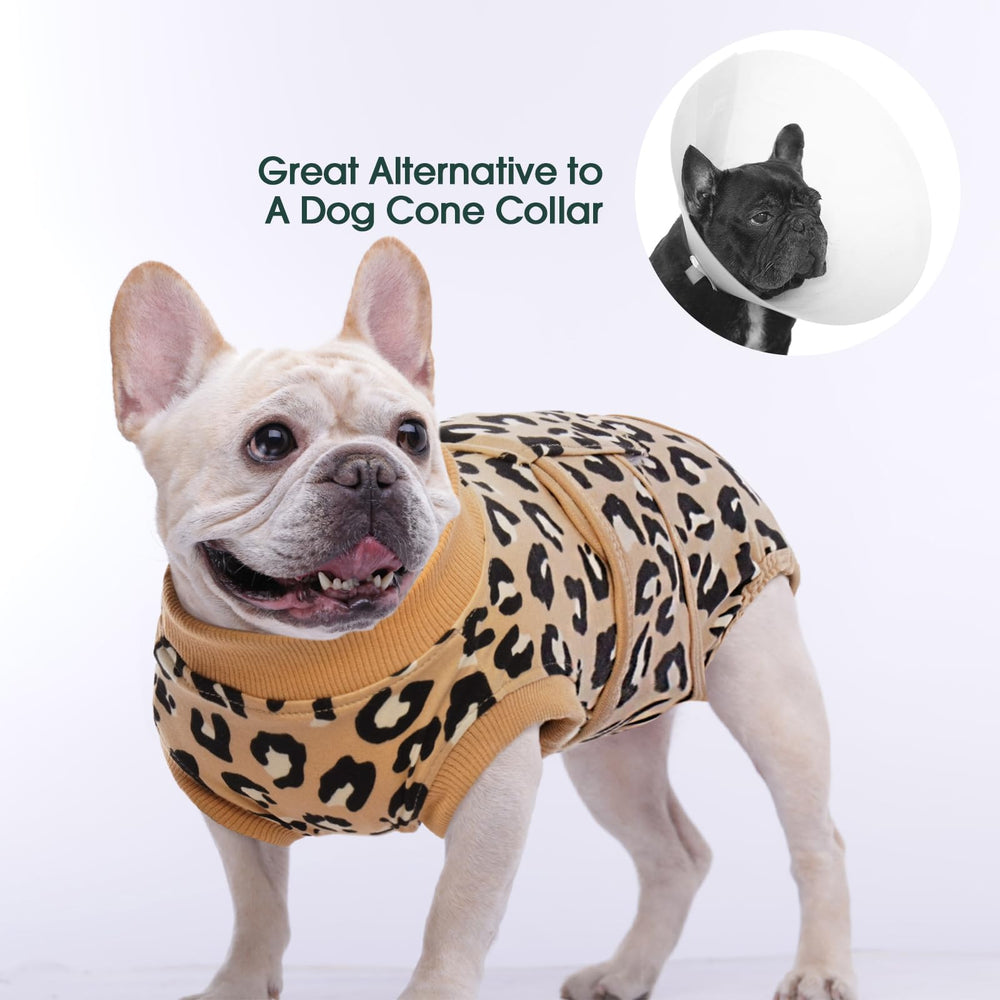 Kuoser dog recovery suit worn on a dog during recovery.