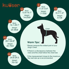 Kuoser recovery suit acts as cone-free protection while keeping dog mobile