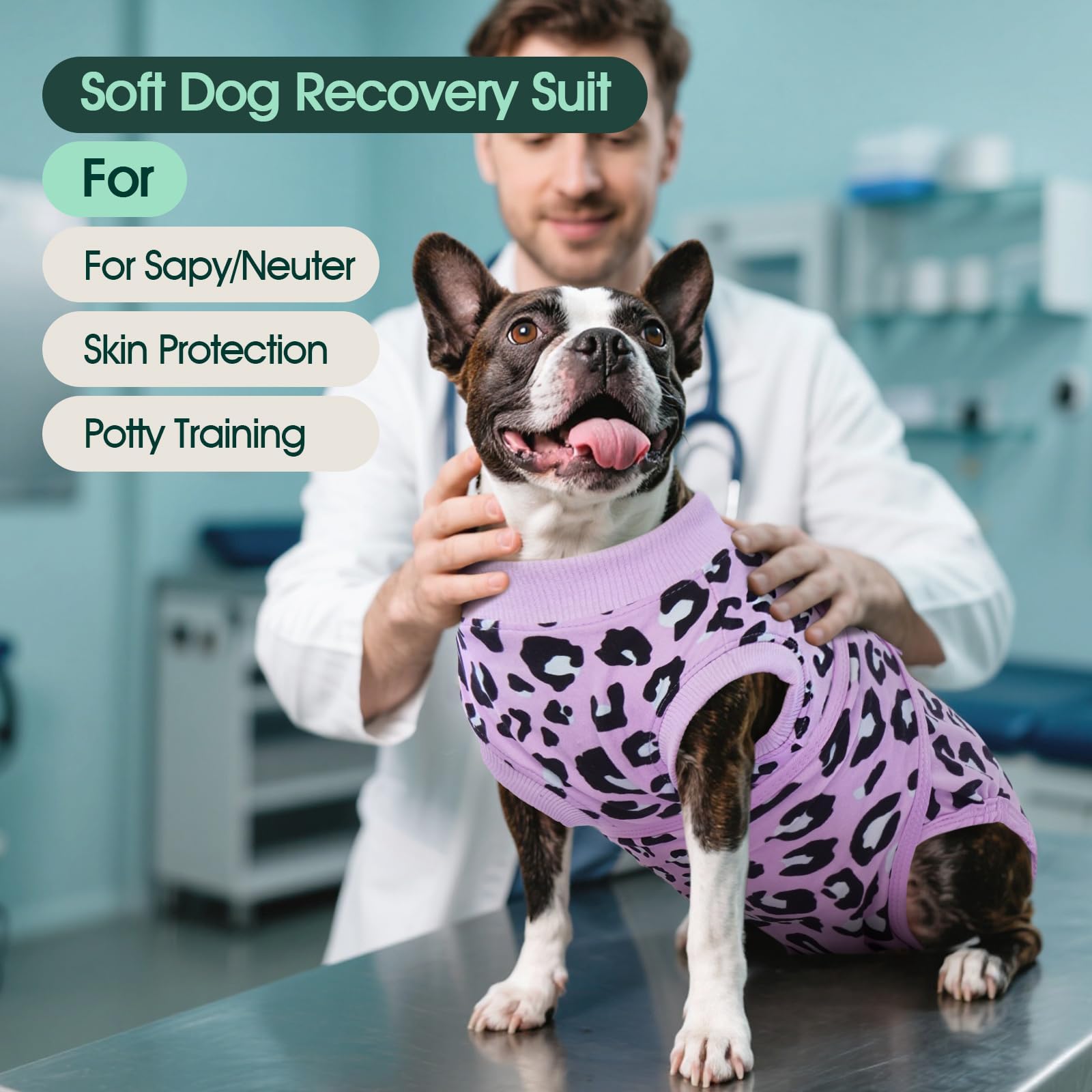 Kuoser recovery suit on dog, comfortable wear during healing