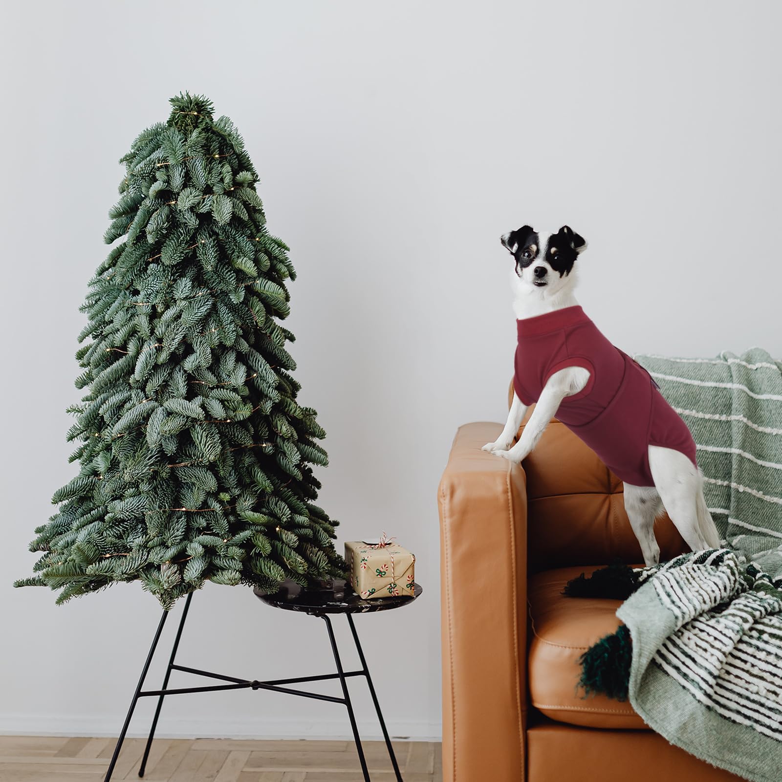 Kuoser dog skin-care bodysuit aids shedding and skin management