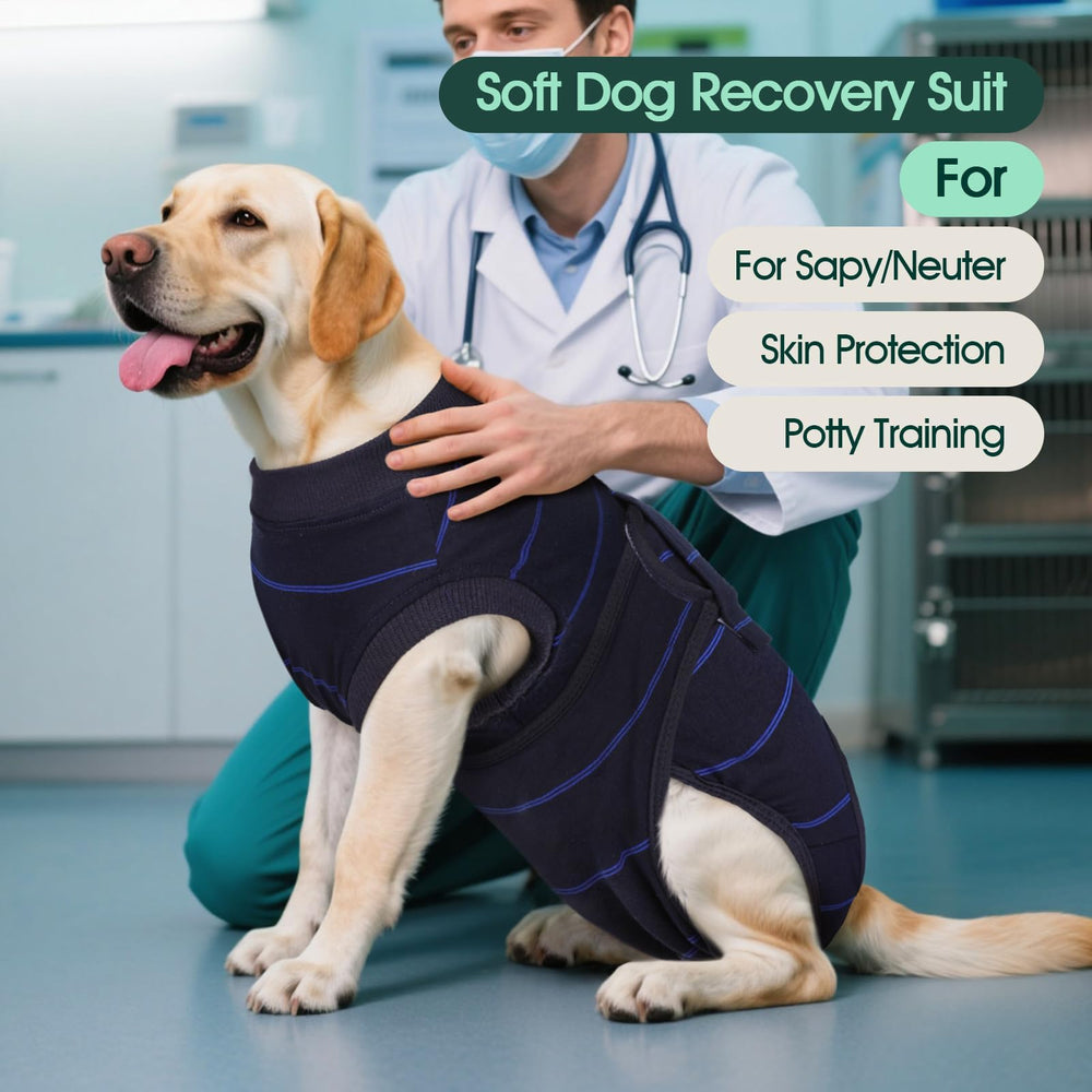 Kuoser blue-striped recovery suit, back view, protects wounds while dog rests