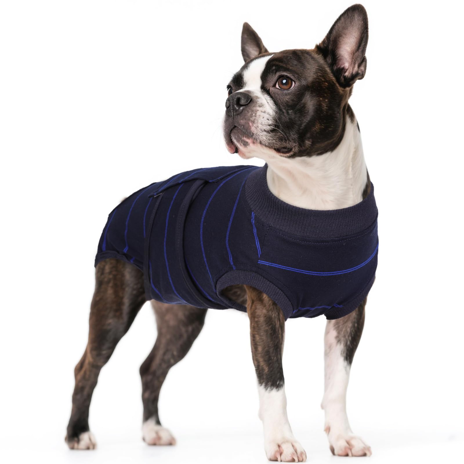 Kuoser dog surgery recovery suit blue stripes front view for post-op protection.