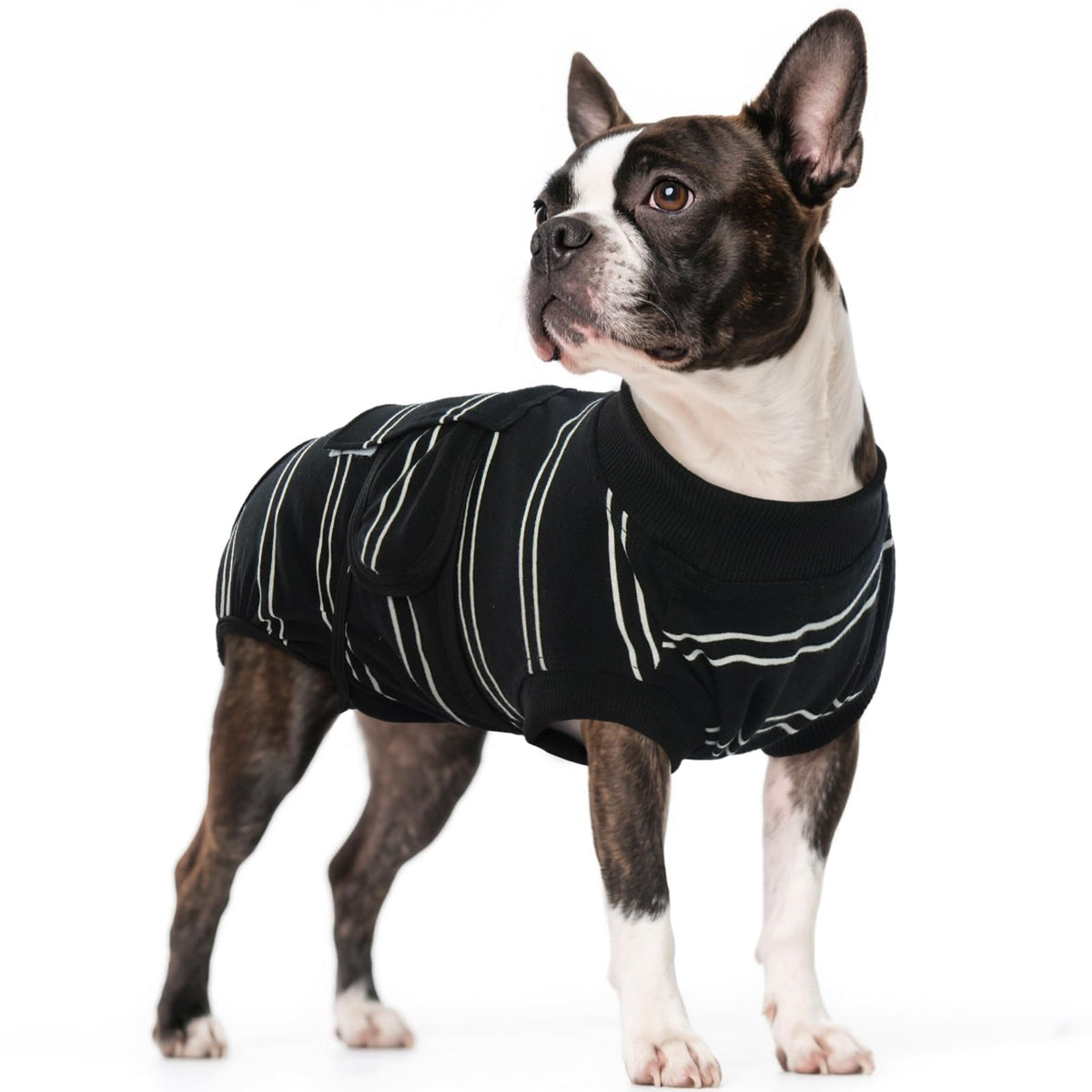 Kuoser dog recovery suit in blue, front view highlighting snug fit for comfort.