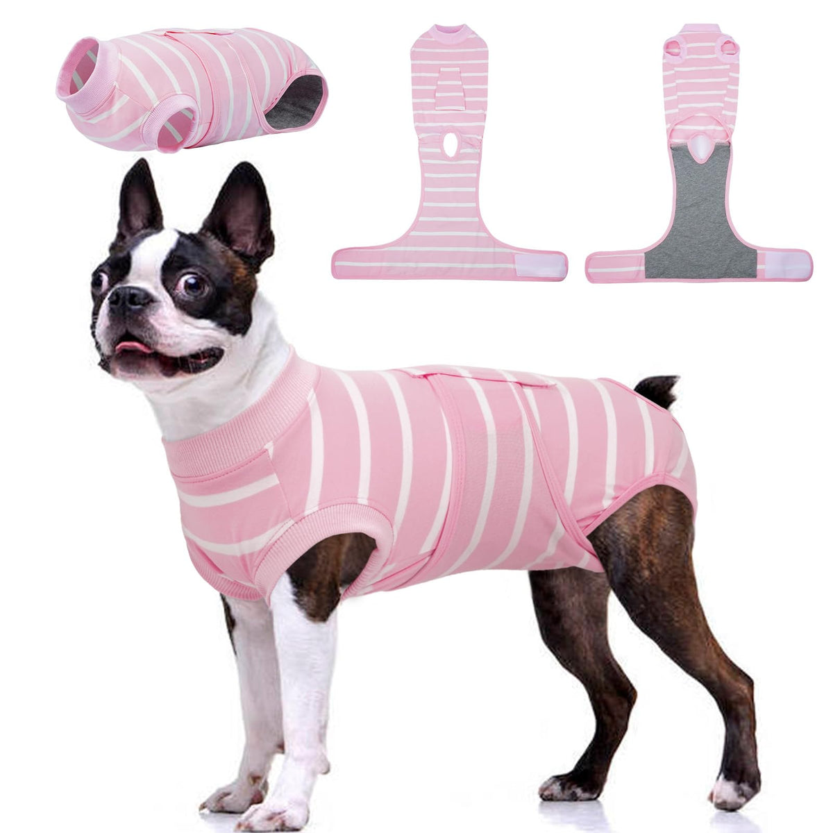 Kuoser dog surgery recovery suit front view, showcasing snug fit for post-op healing.