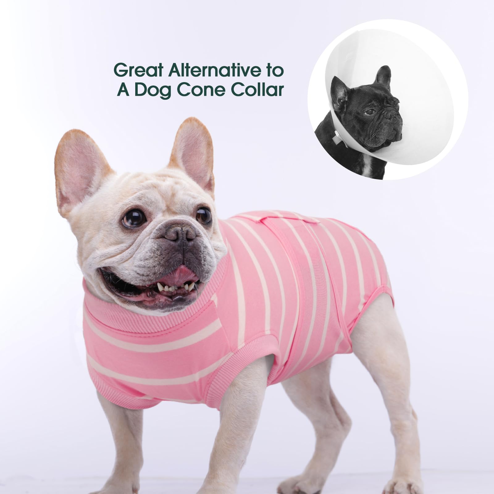Kuoser suit bottom circle for male dogs eases physiological needs with dignity.