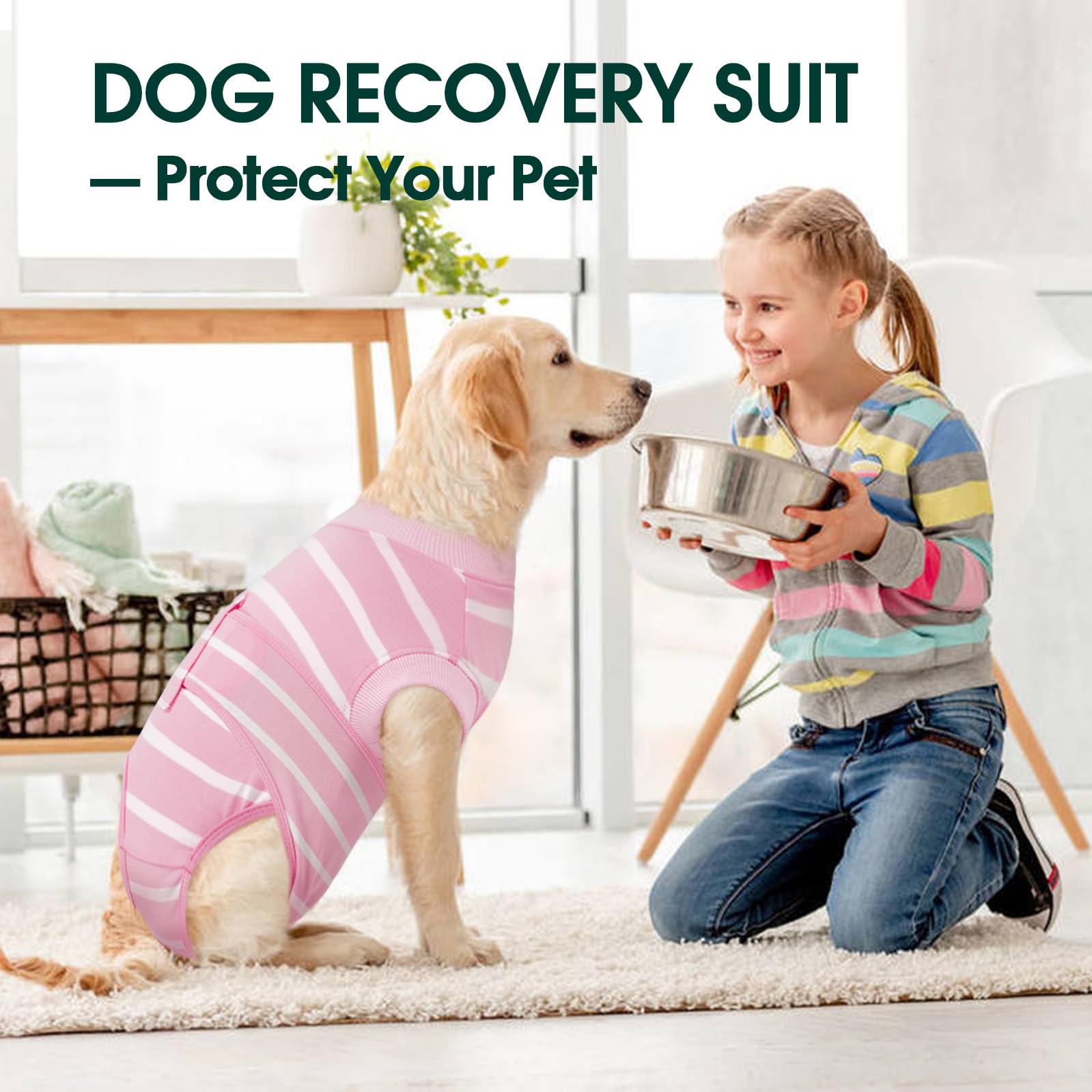Kuoser dog recovery suit protects wounds while allowing eating and gentle play.