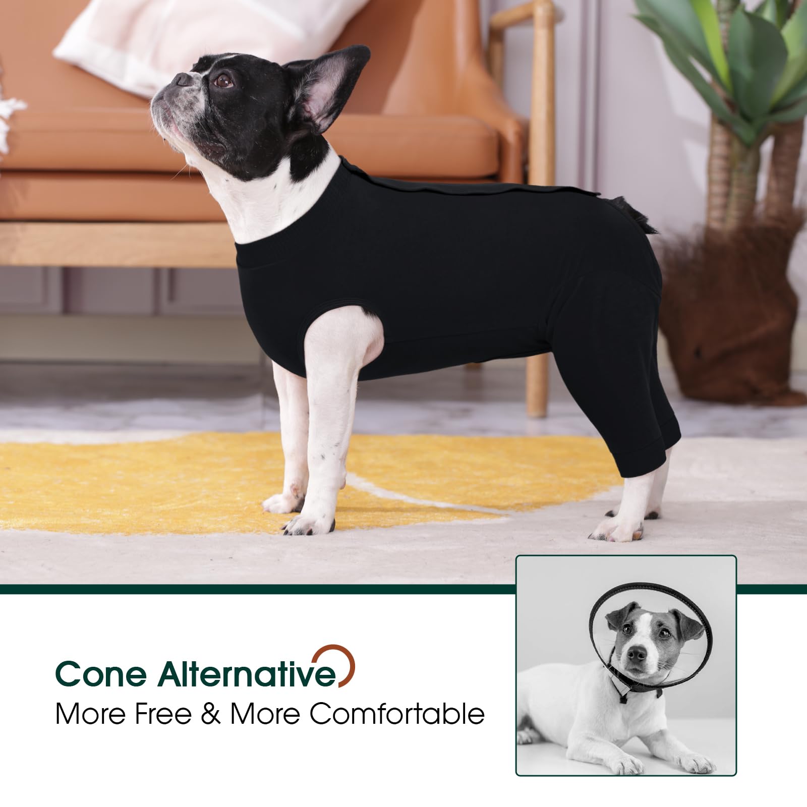 Kuoser abdominal area sleeve provides secure fit and helps prevent licking.