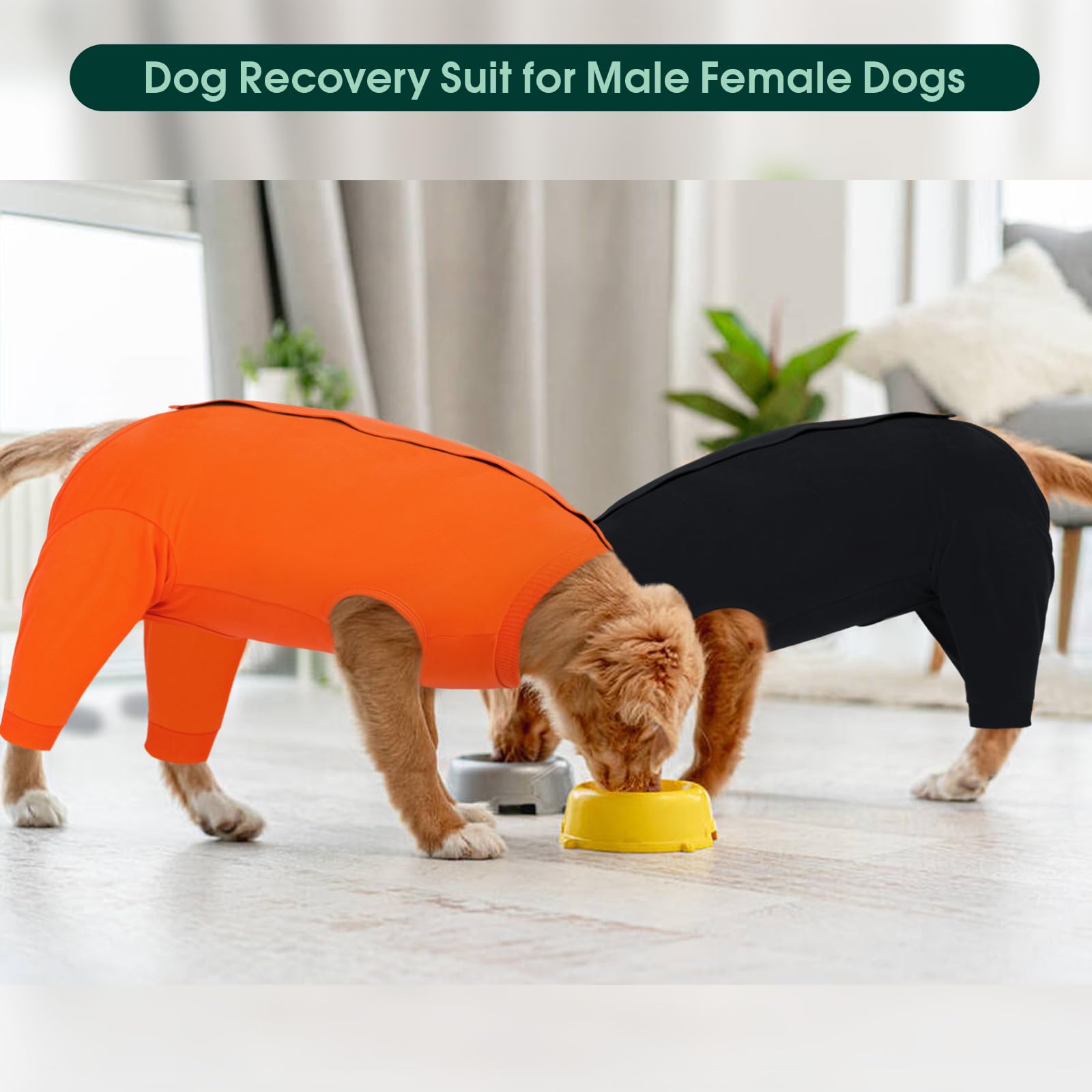 Kuoser dog surgery suit back view emphasizes secure fit and movement.
