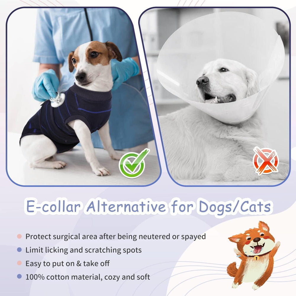Kuoser circle bottom design aids male dogs.