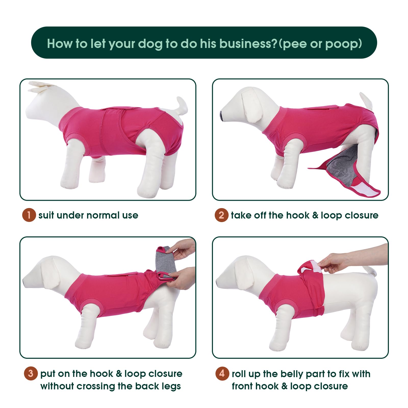 Kuoser dog surgery suit demonstrates cone-alternative post-surgery protection.