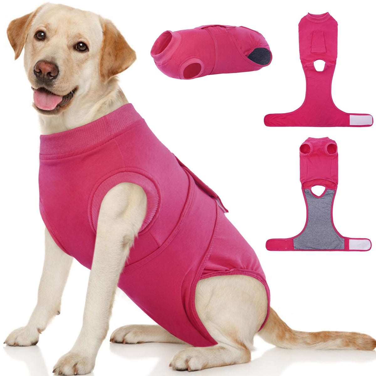 Kuoser dog surgery suit for female spay with gentle belly coverage and comfort