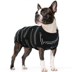 Kuoser dog surgery suit on a small dog, showing snug fit and recovery support.