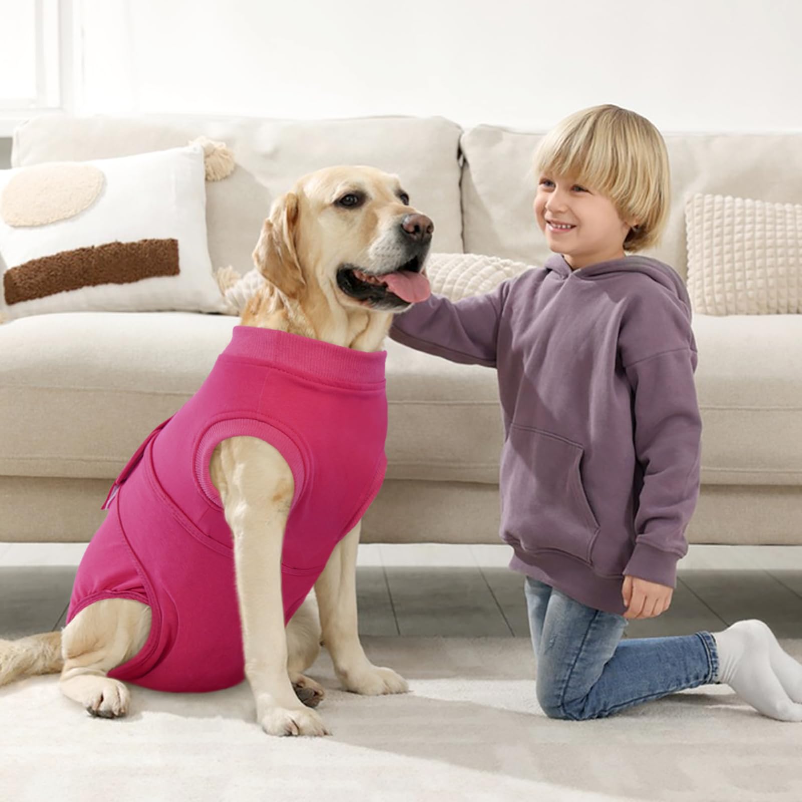 Kuoser dog surgery suit with soft edges reduces licking and interference.