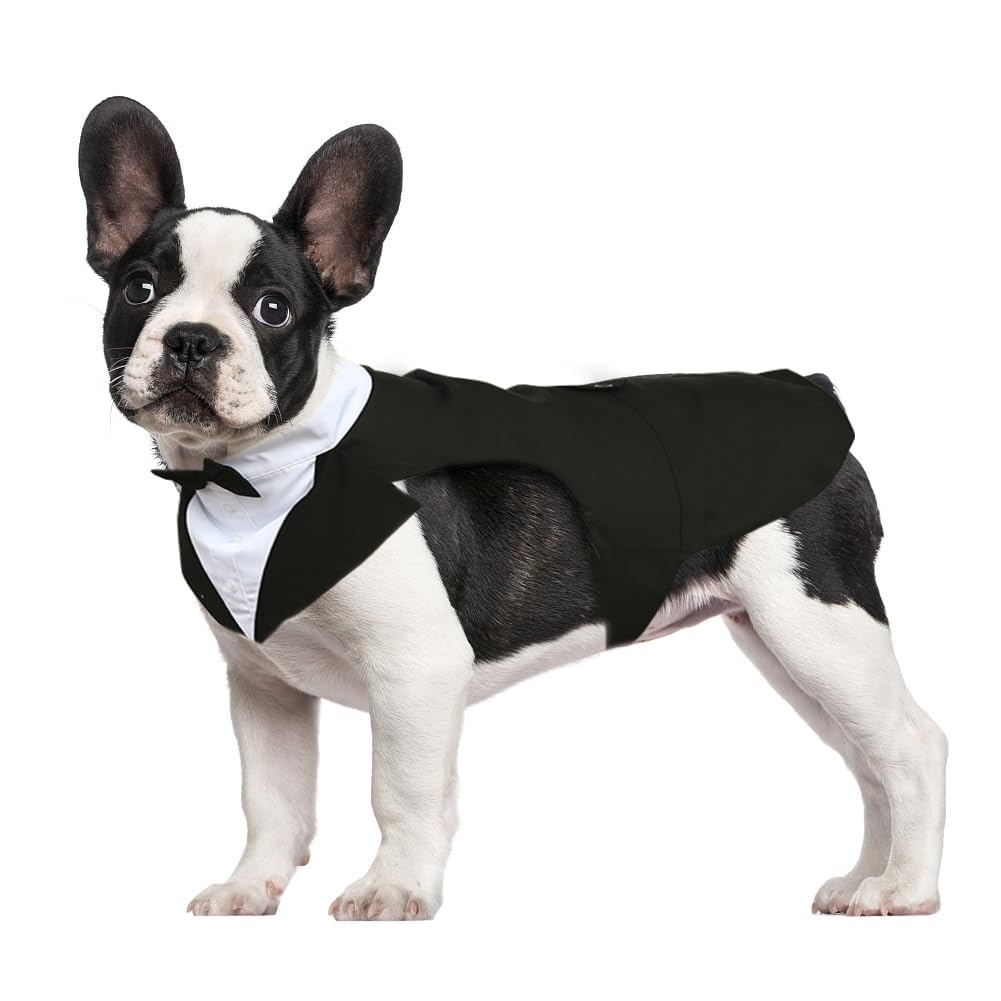 Kuoser dog tuxedo front view for wedding-ready look.
