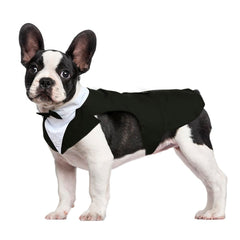 Kuoser dog tuxedo front view for wedding-ready look.