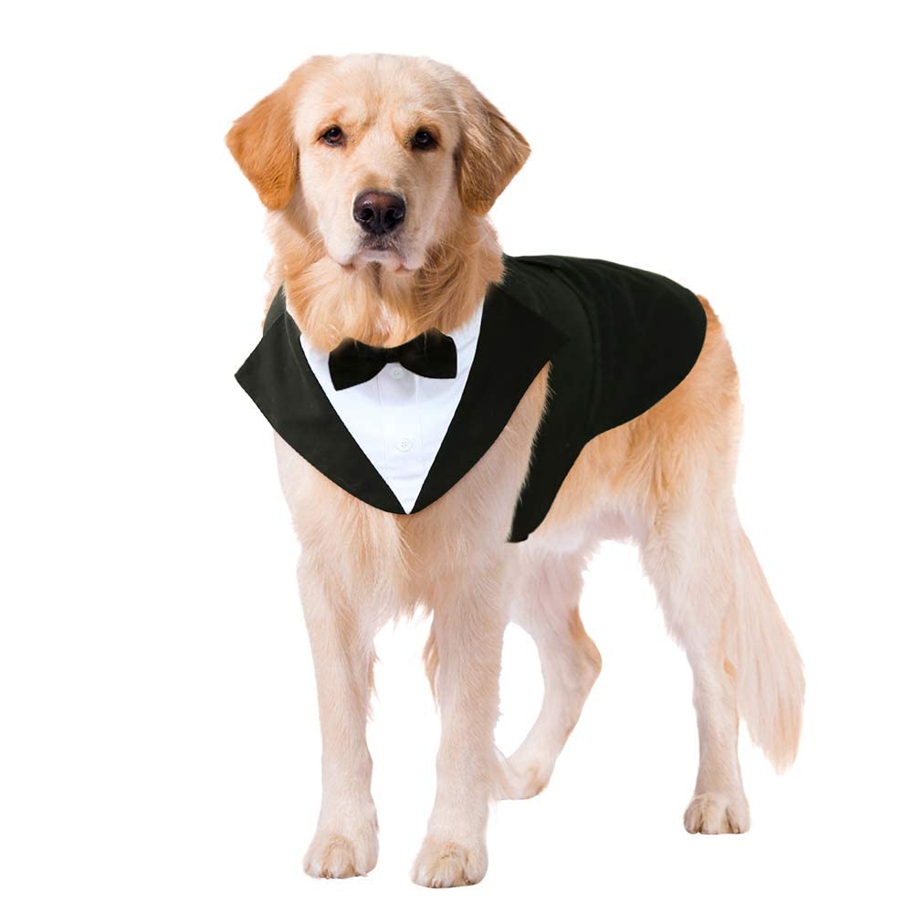 Kuoser dog tuxedo set shown for a wedding-ready look, ideal for photos