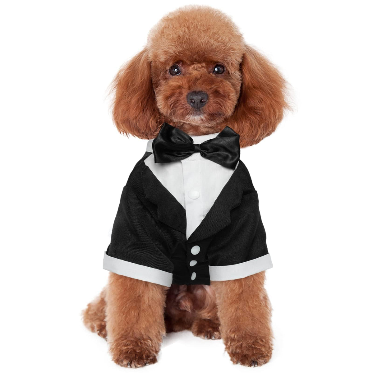 Kuoser dog tuxedo with bow tie for elegant pet weddings and formal occasions.