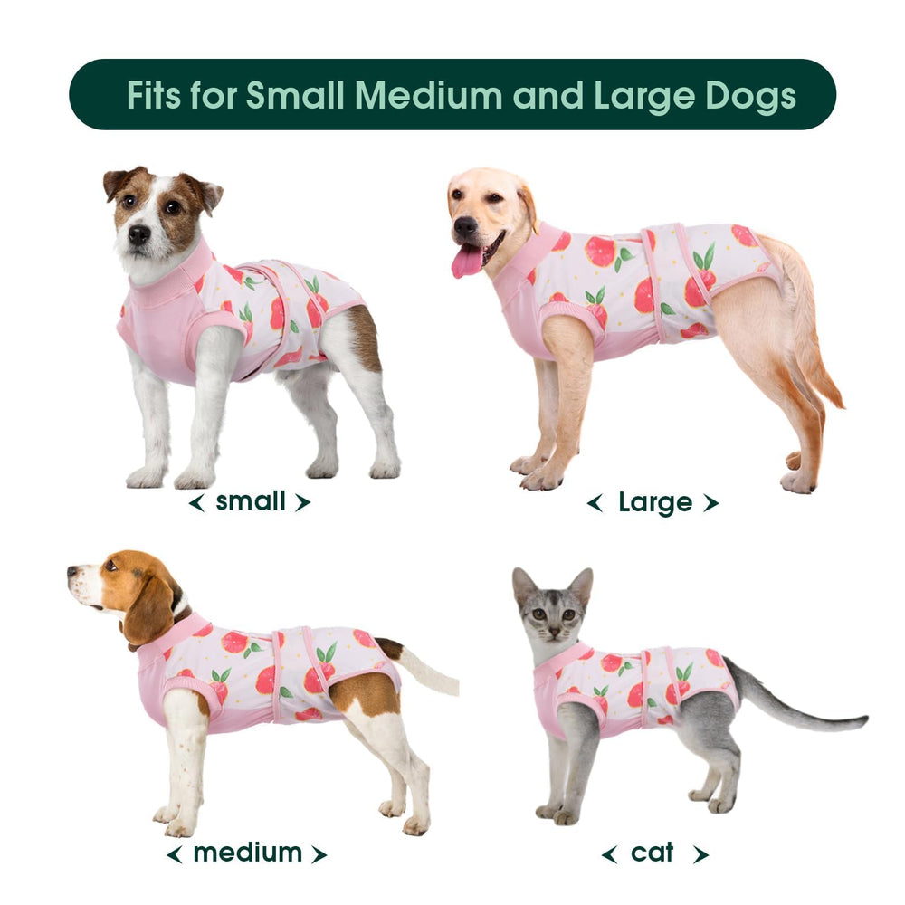 Kuoser dog recovery suit with simple closures for quick bathroom breaks.