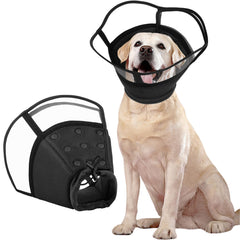 Kuoser large dog cone collar after surgery shields wounds and supports recovery.