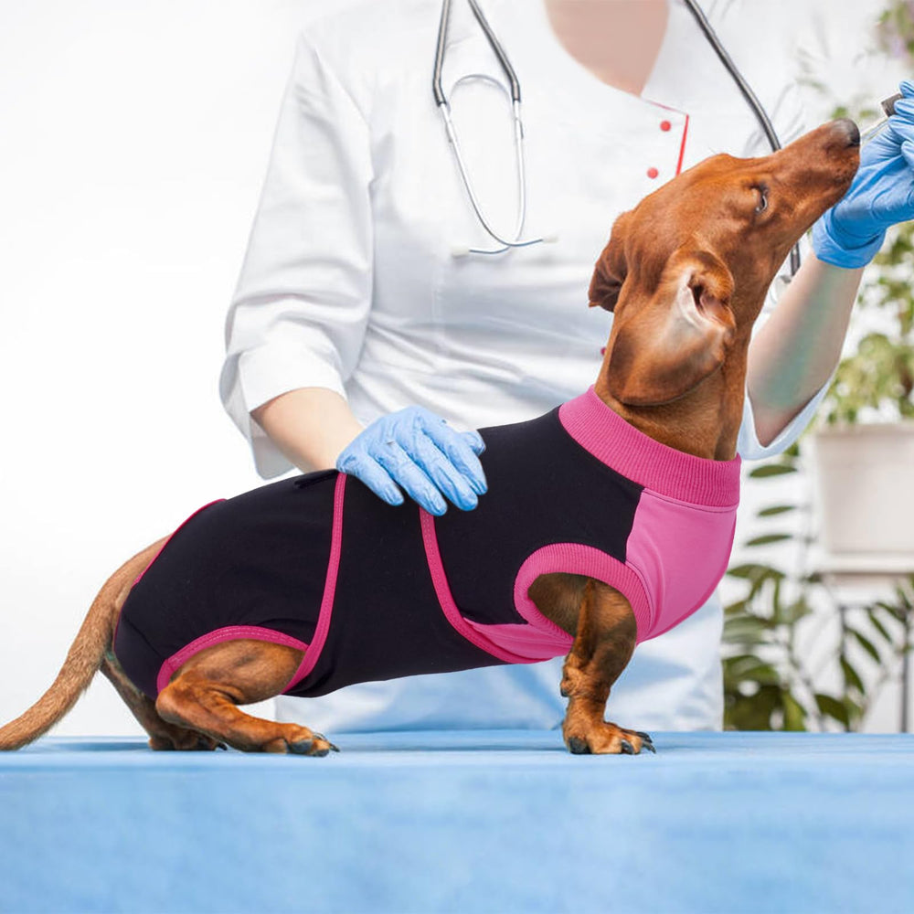 Kuoser multifunctional dog surgical onesie suitable for spay, neuter, and postpartum care.