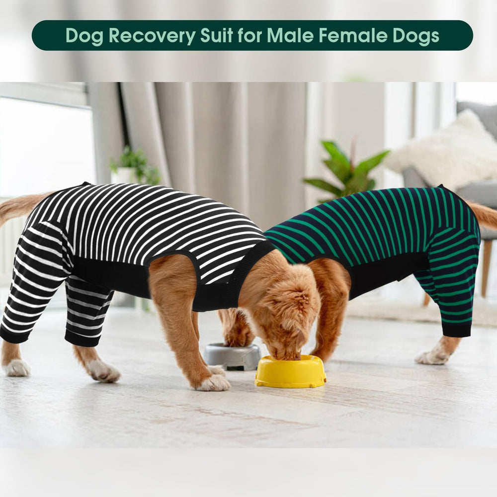Kuoser multiuse dog suit suitable for post op, sterilization, or care wear.