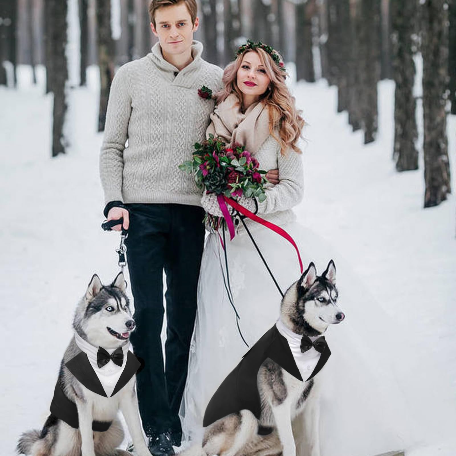 Kuoser gift-ready packaging for dog fashion lovers