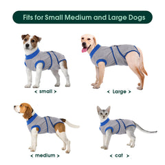 Kuoser cat-friendly XS size demonstrates proper fit and easy wearing.