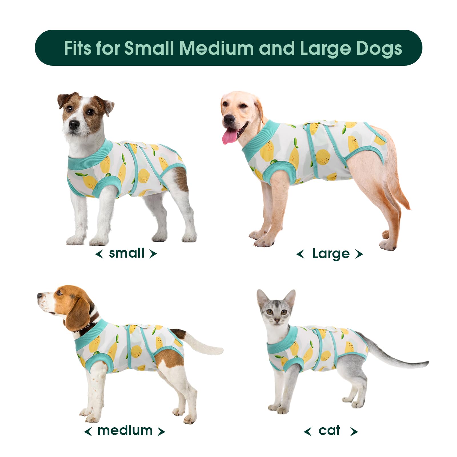 Kuoser Recovery Suit for cats in XS size demonstrating compact fit.
