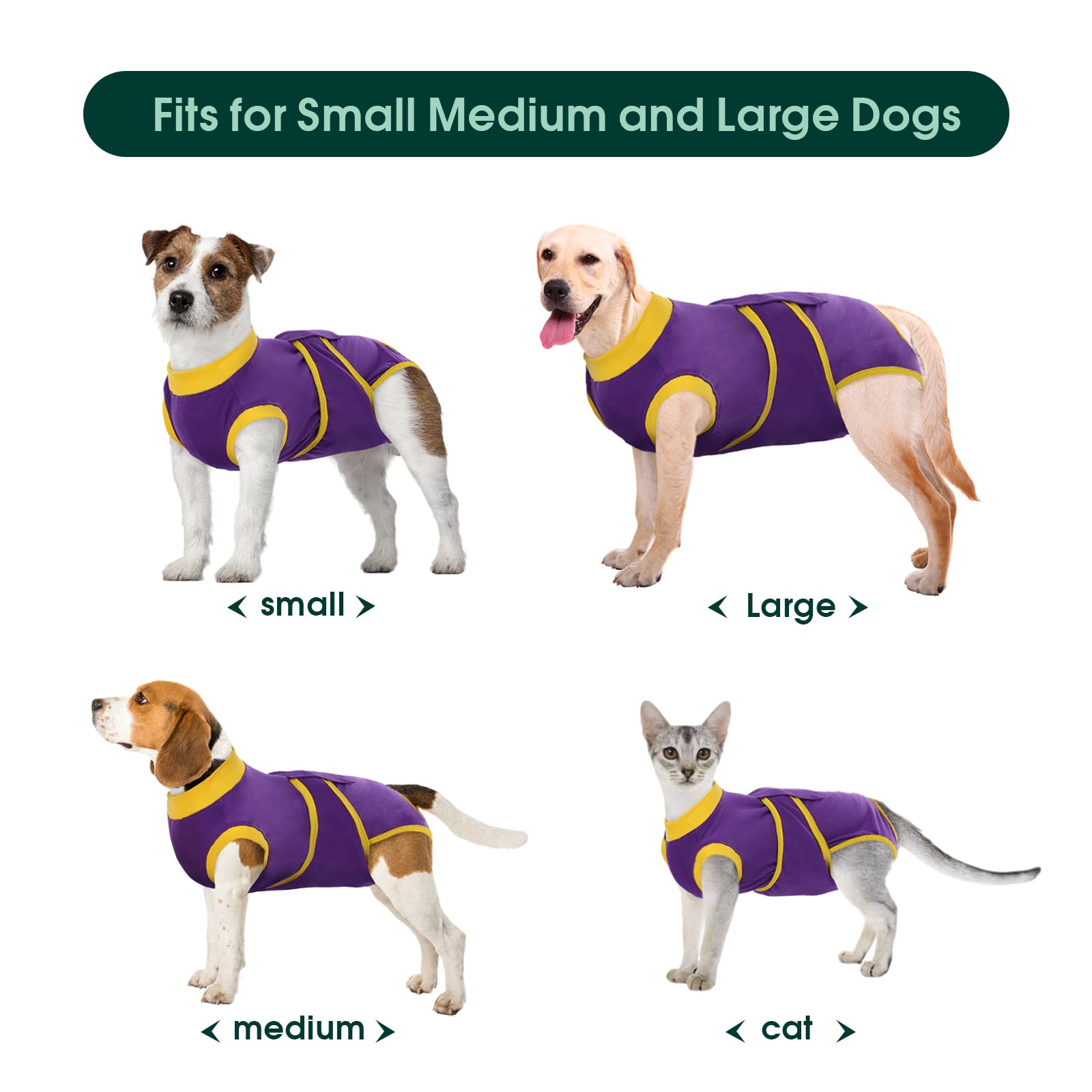 Kuoser Recovery Suit cat XS size; compact fit for small pets.