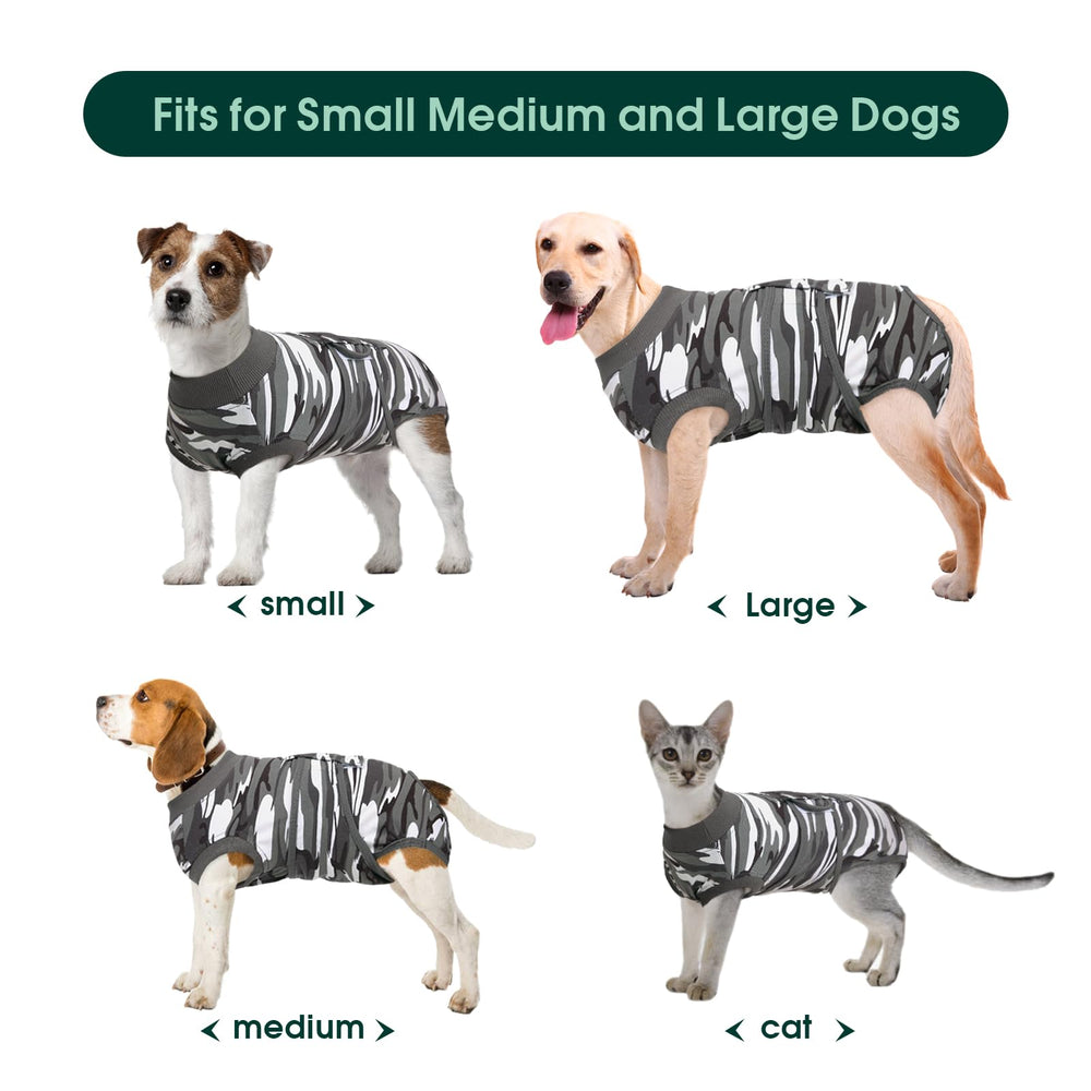Kuoser Recovery Suit on a dog serves as cone-alternative for comfort