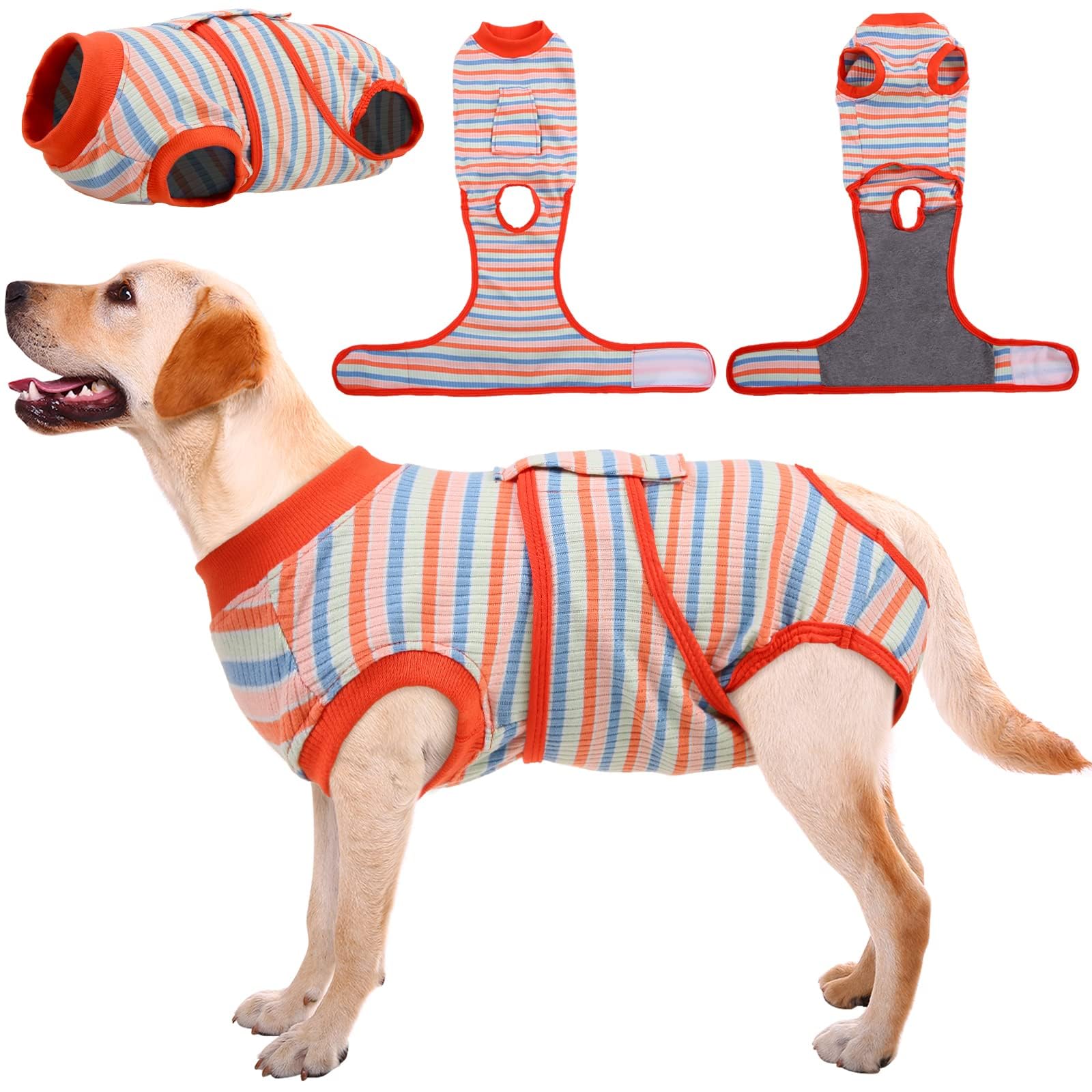 Kuoser Recovery Suit on dog's abdomen wound for post-surgery coverage