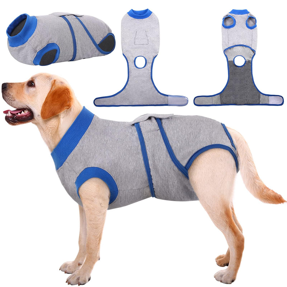 Kuoser recovery suit on a dog shows abdominal wound coverage and comfort.