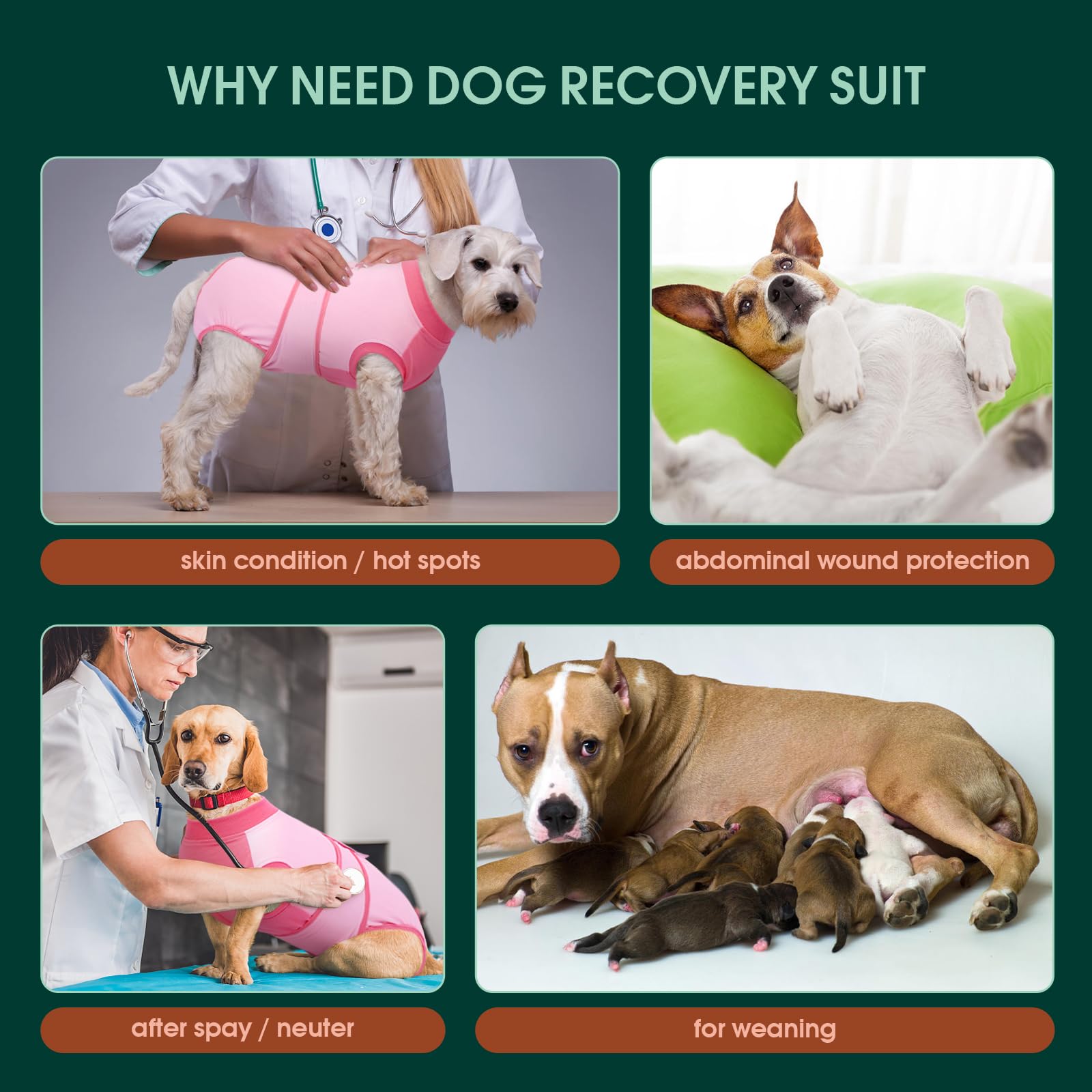 Kuoser dog anti-lick post-surgery suit helps prevent licking.