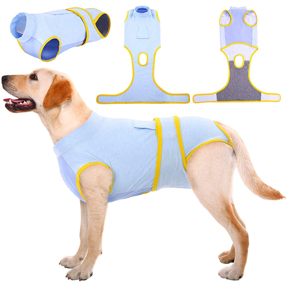 Kuoser Recovery Suit for dogs with back-coverage supports post-surgery healing.