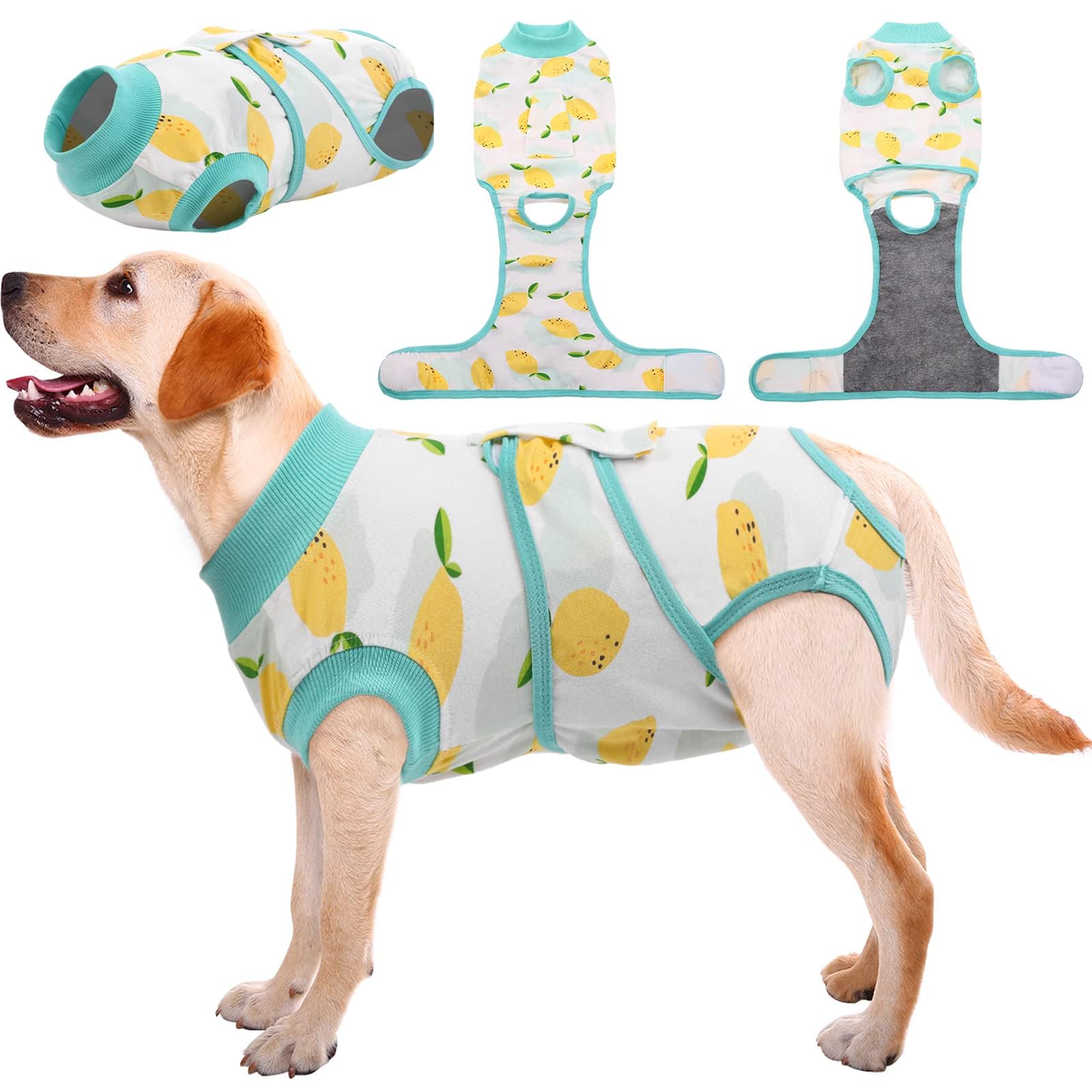 Kuoser Recovery Suit for dogs in back view promotes comfortable post-surgery healing.