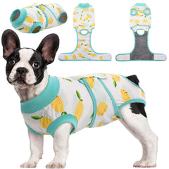 Kuoser Recovery Suit for dogs, back view, protects wounds during recovery.