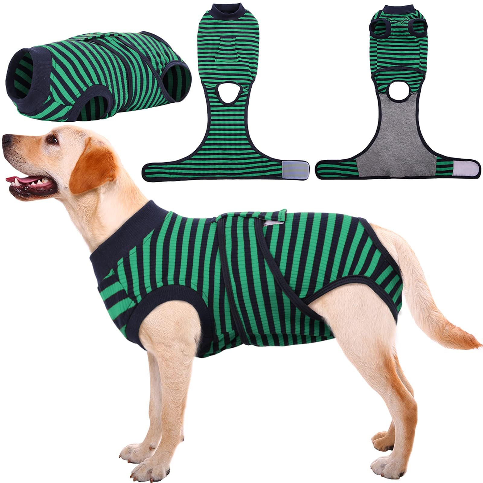 Kuoser Recovery Suit on dog, front view, protecting post-surgery wounds.