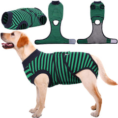 Kuoser Recovery Suit on dog, front view, protecting post-surgery wounds.
