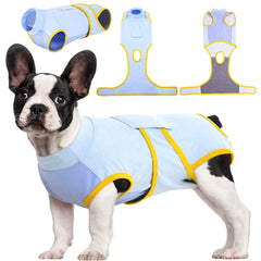 Kuoser Recovery Suit worn on a dog resting on a bed to promote gentle recovery