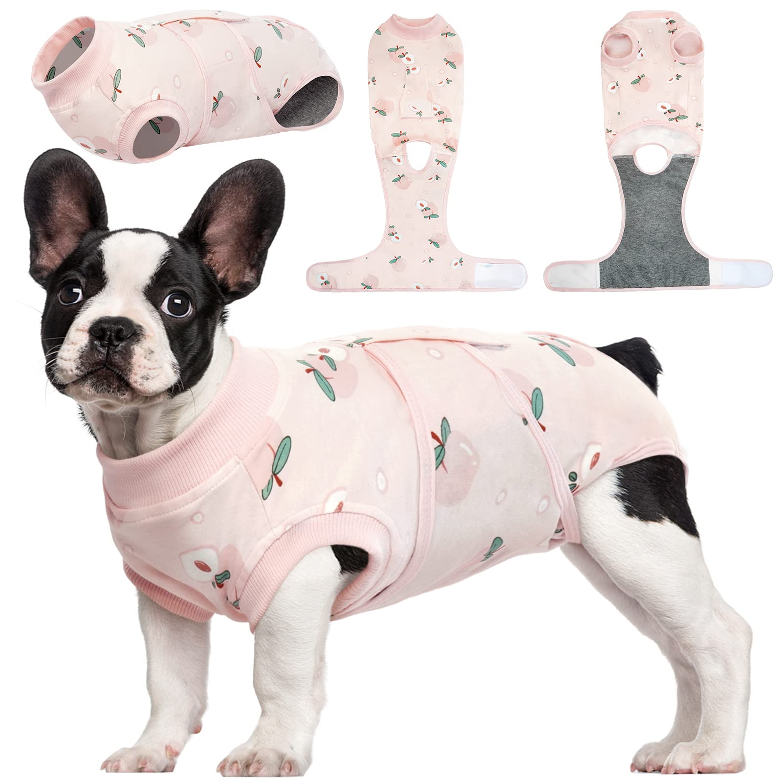 Kuoser recovery suit for dogs on a pet, promoting comfortable post-surgery wear