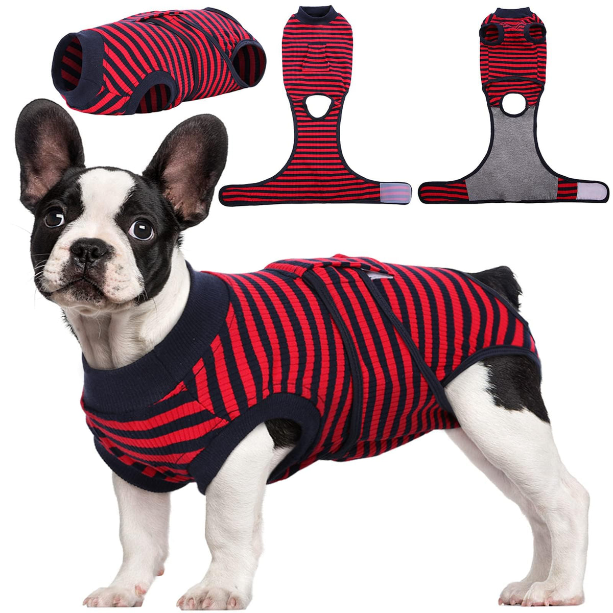 Kuoser recovery suit on a dog after surgery showing full-body coverage for post-op comfort
