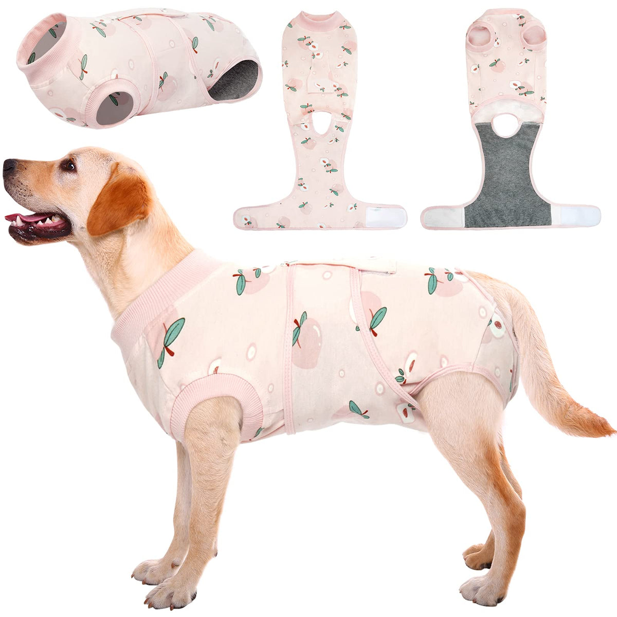 Kuoser recovery suit on a dog, providing gentle abdominal protection and comfort.