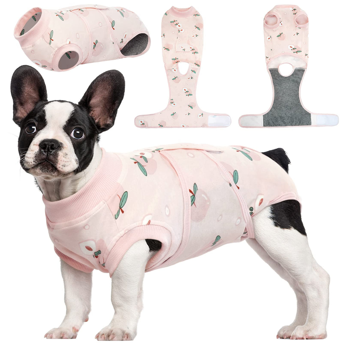 Kuoser recovery suit on a dog providing wound coverage and comfort after surgery.