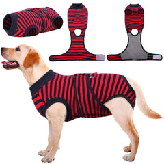 Kuoser Recovery Suit worn on a dog with abdominal wounds, offering protection and comfort.