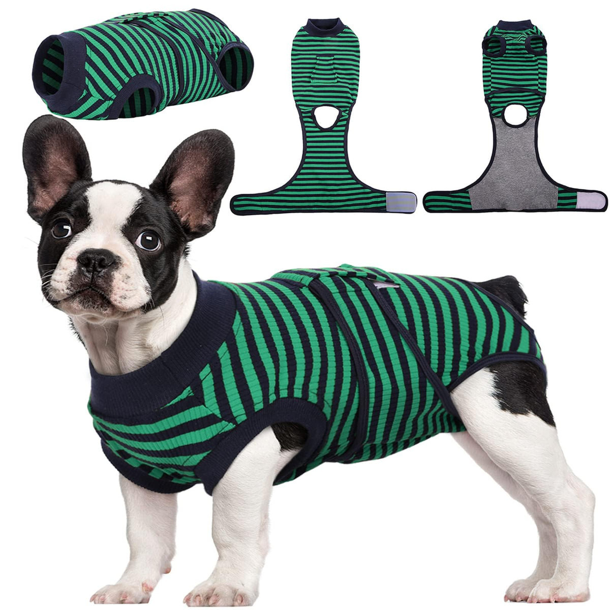 Kuoser recovery suit back-length measurement demonstrates a precise fit for dogs