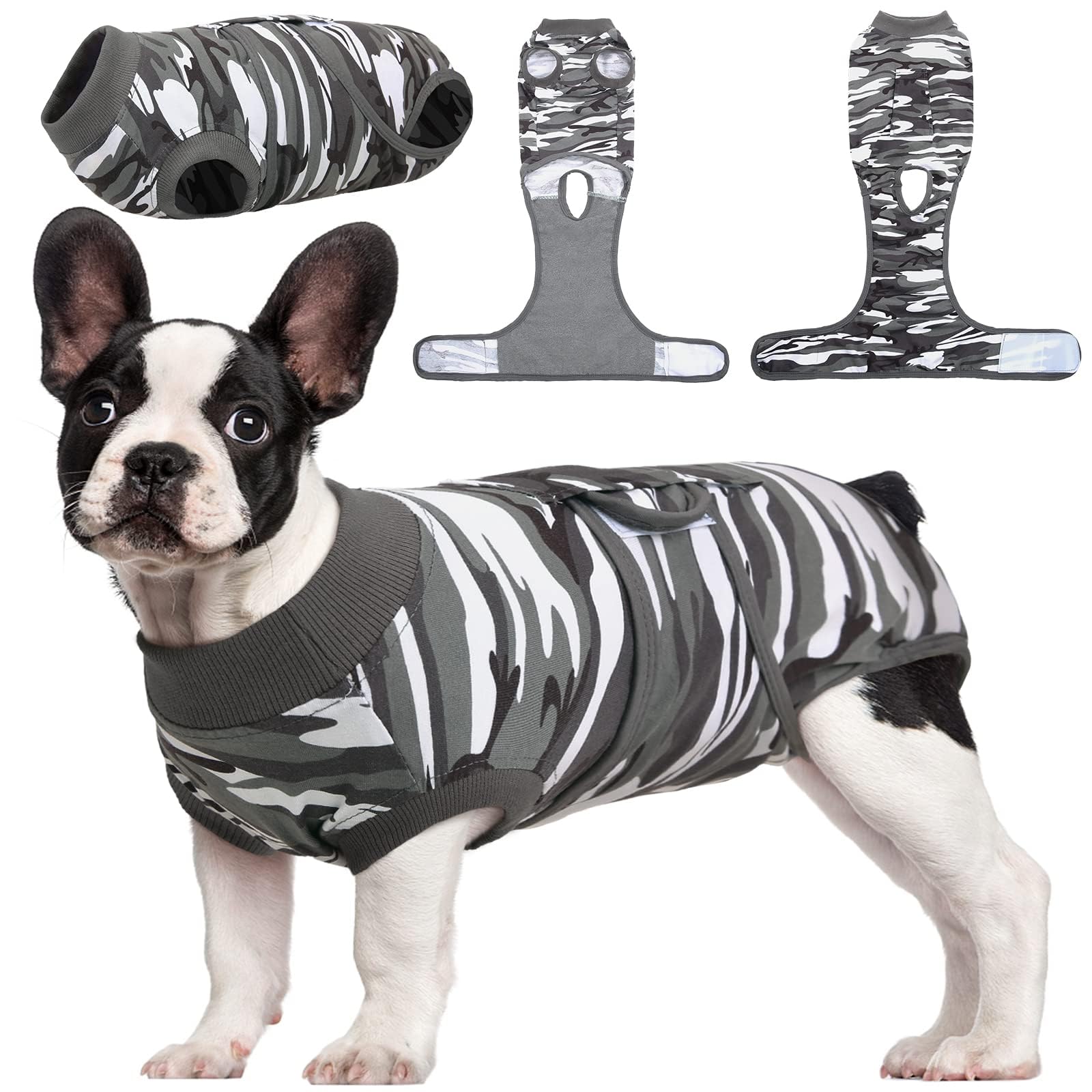 Kuoser recovery suit for dogs in motion supporting post-surgery comfort