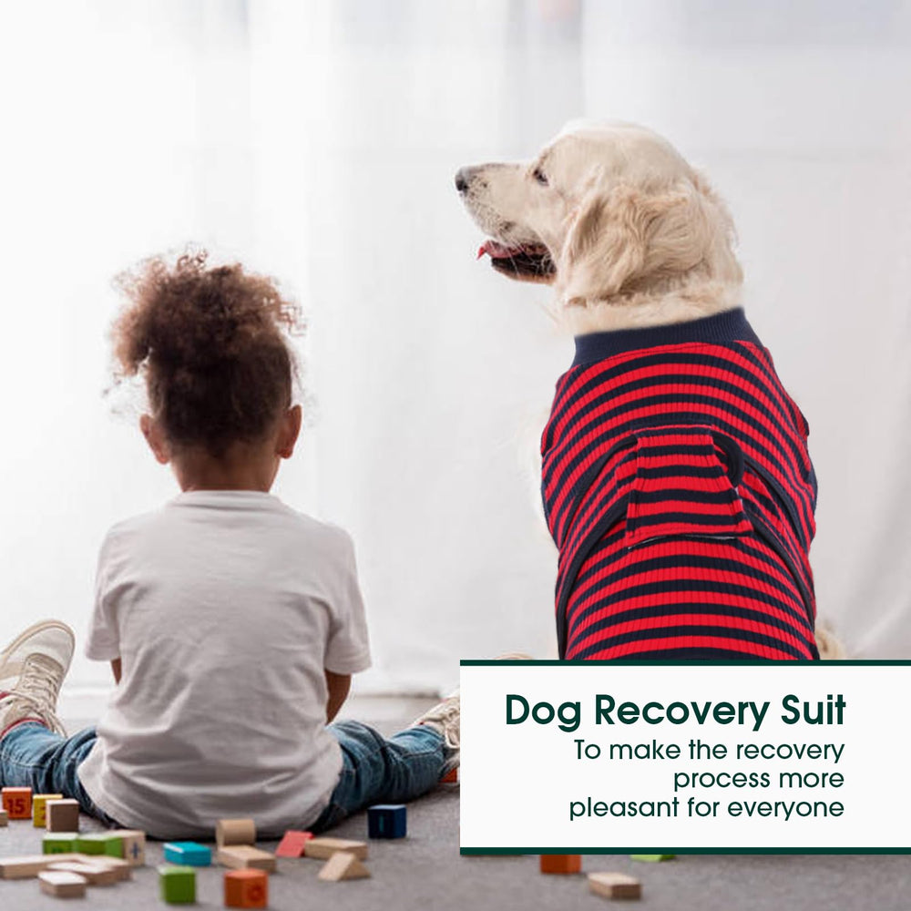Kuoser Recovery Suit helps with skin issues and shedding control.