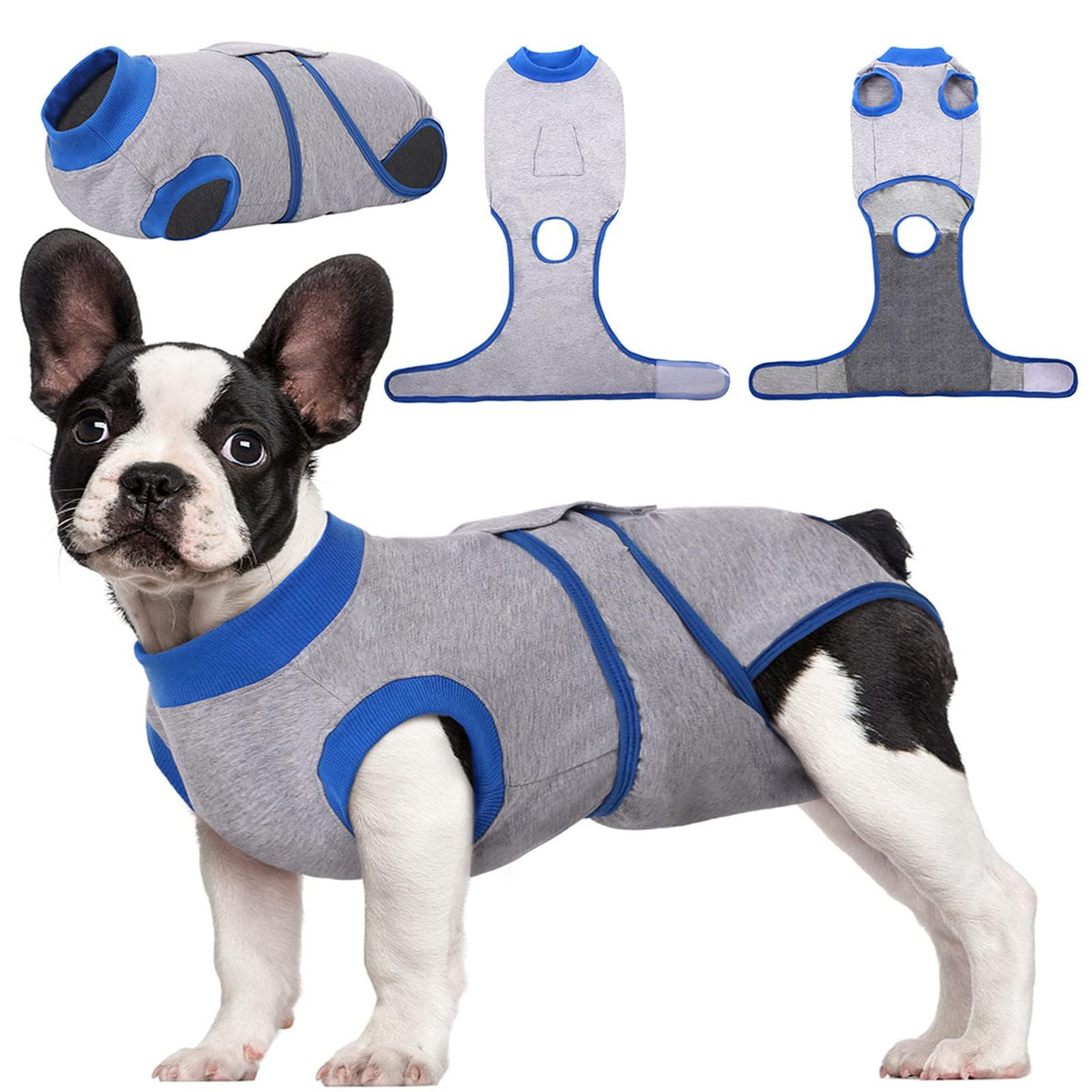 Kuoser recovery suit on dog offers comfortable coverage during healing.