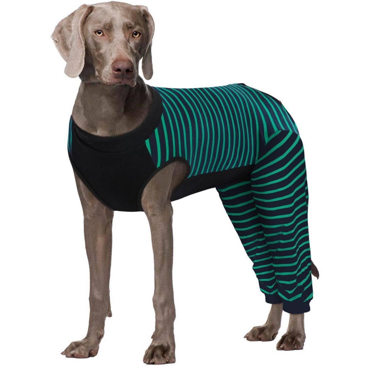 Kuoser recovery suit rear leg sleeve protecting wounds while allowing movement
