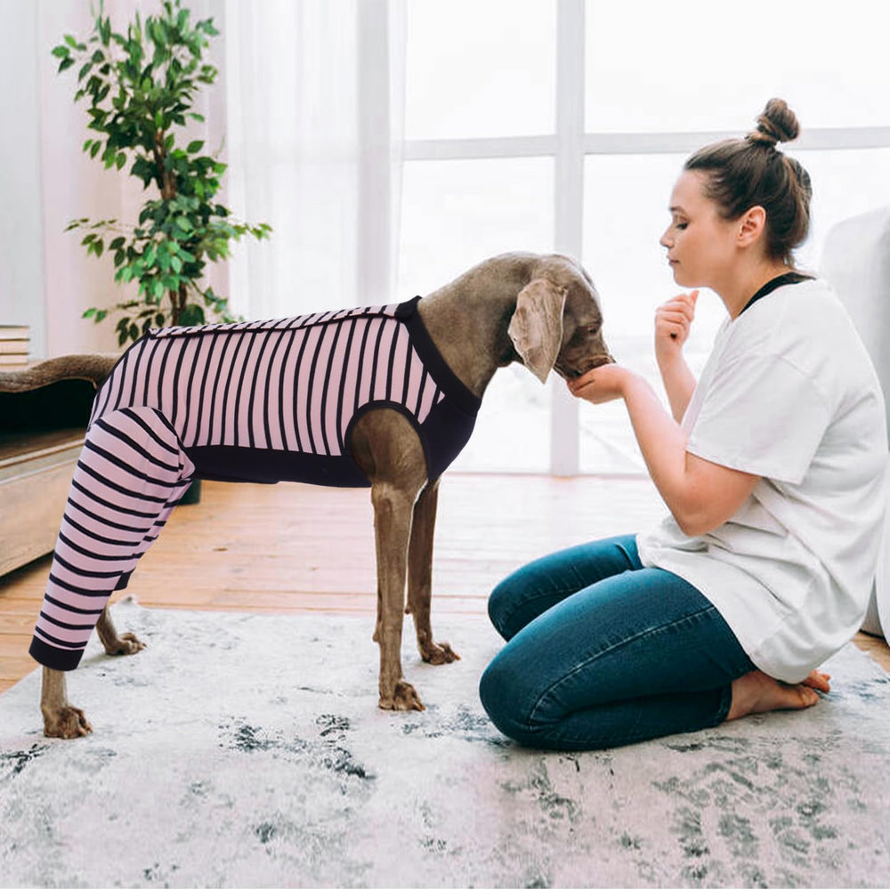 Kuoser recovery suit offers secure, snug fit for stress-free post-surgery care